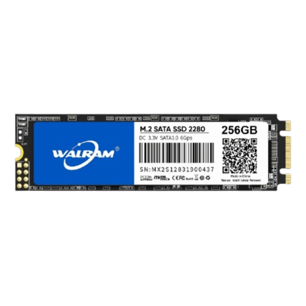 WALRAM 256GB M.2 2280 SSD